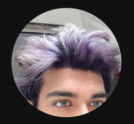 zsxkib
 organization logo